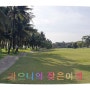 치앙마이 골프장 골프여행 추천 best 3 (feat.코쿤골프)