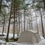 눈 쌓인 잣나무 숲, 추동캠프