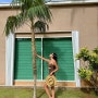 괌 가성비 호텔 플라자리조트 수영장, 조식까지 알차게 즐기기