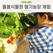 율봄식물원 딸기 시즌 딸기체험 예약 동물 먹이주기