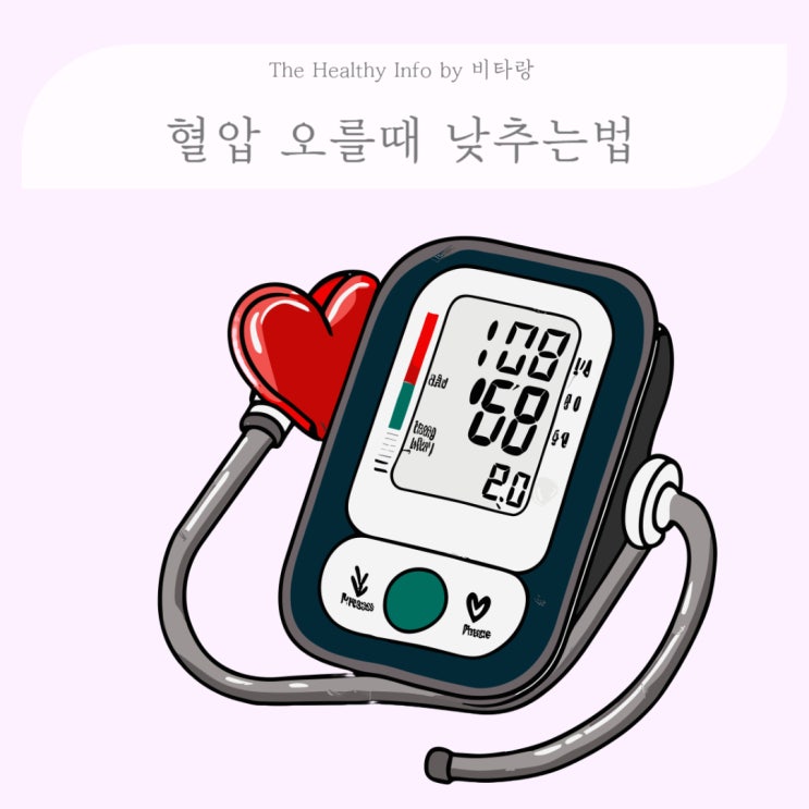 표준 정상혈압 혈압 오를 때 낮추는법, 고혈압, 저혈압 수치 약 : 네이버 블로그