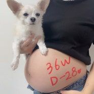 35,36주 임신일기 / 출산가방준비/빨래지옥시작/막달일상/먹방