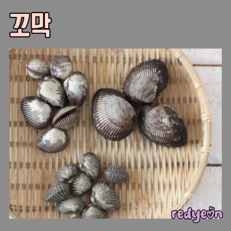 꼬막 효능 부작용 종류 ️심혈관에 좋은 음식 새꼬막, 참꼬막 피꼬막, 꼬막 해감법 : 네이버 블로그