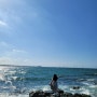 [제주여행 3편] 아르떼뮤지엄, 바당길, 한담해변, 신창풍차해안도로, 일품순두부 후기