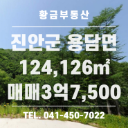 [토지 매매]전북 진안군 용담면 송풍리 / 금산부동산