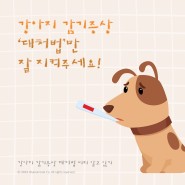 [24시부평종합동물의료센터] 강아지 감기 증상, 대처법 미리 알아보기