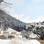 겨울, 자연 속에서 즐기는 춘천 월송리 캠프 글램핑 카라반
