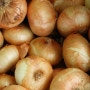 혈관 건강에 좋은 채소 5가지(양파, 마늘, 양배추, 콩나물, 시금치)