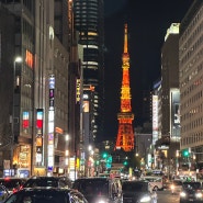 도쿄 롯폰기 현지인 맛집 예약 도쿄타워가 보이는 야키니쿠 니쿠이네