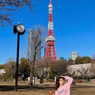 도쿄여행 도쿄타워 인생샷 사진스팟 4곳 총정리 꿀팁