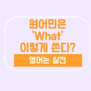 원어민은 'what' 어떻게 쓸까? 관계대명사, What about, What if, Whatever