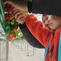 물오른딸기 양평 아이와함께 주말 가볼만한곳 딸기따기 농장 체험