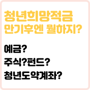 청년희망적금 만기금액 그리고 만기 후 가입할 상품은?