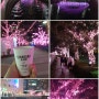 [일본여행] 일본 도쿄 일루미네이션 메구로강 めぐろがわ 핑크빛 전등따라 산책 ㅡ 20231224 일요일