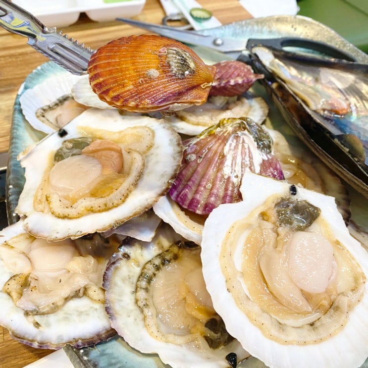 부산여행 해운대 조개구이, 회 내돈내산 [해운대 황금조개구이 횟집 3호] 장,단점 맛집 추천 : 네이버 블로그