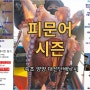 문어잡이 양양 배낚시 겨울 낚시 축제