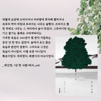 최진영 장편 소설 <단 한 사람> 섬네일