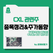 CXL 관련주 와이아이케이 엑시콘 코리아써키트 대덕전자 종목 주가 정리