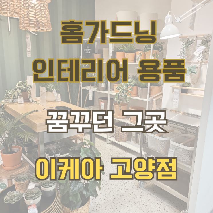 홈가드닝을 한다면 이케아 고양점으로