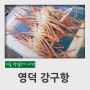 겨울 당일치기 여행 영덕 강구항 박달대게, 해맞이공원, 과메기 후기