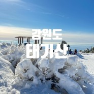 강원도여행 겨울 태기산 등산코스 눈꽃산행 주차장 정보