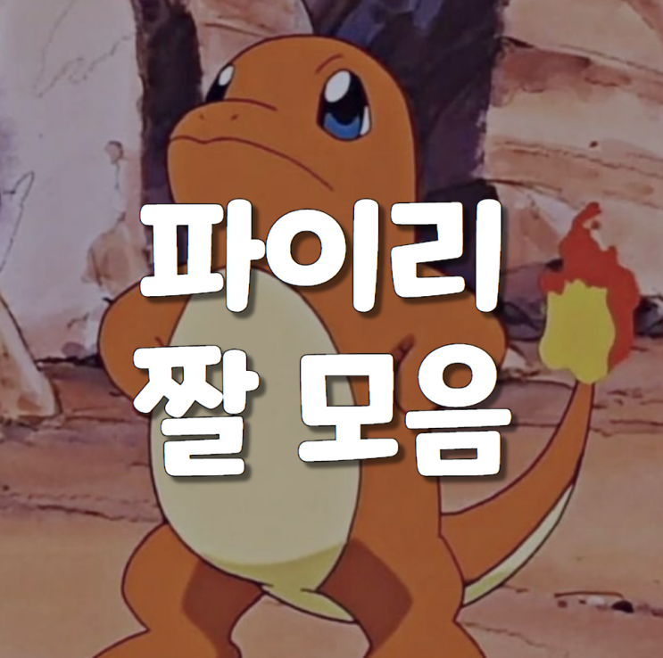 [포켓몬스터] 파이리 짤 모음 (feat. 움짤) : 네이버 블로그