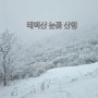 태백산 눈꽃 산행 (2024. 01. 20.) (동백여행사)