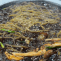 [속초 맛집] 속초 현지인 추천 맛집 가보오토종닭 /점심 특선 해물돌짜장,가보오짬뽕, 탕수육 /내돈내산