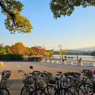 일본 후쿠오카 아이랑 가볼 만한 곳, 오호리공원