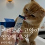 프로젝트21 하루채움 고양이 영양제, 가자미맛 미친 기호성