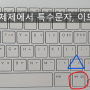 윈도우즈에서 특수문자(한글자음 + 한자 기능) 입력 불가 해결 방법 (feat. 윈도우즈키+. 이모티콘 입력)