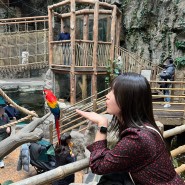 일산 아쿠아플라넷 : 아쿠아리움과 동물원을 한번에 즐길 수 있는 경기도 겨울 실내데이트 추천