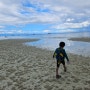 필리핀 보홀 돌조비치 바다 아이가 가장 좋아한 해변 / 모달라비치리조트 근처 맛집 비팜