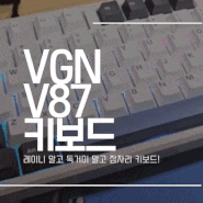 VGN V87 기계식 키보드 큐텐 해외직구 언박싱 타건음