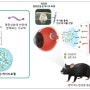 실명 유발하는 망막 질환 획기적으로 늦추는 치료법 개발