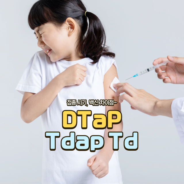 Tdap DTaP Td 백신 차이점 및 접종시기 유아 성인 임신 중 : 네이버 블로그