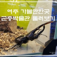 여주 가볼 만한 곳 곤충 박물관 맛집 나들목 여주쌀밥