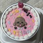 안양 과천 강아지 생일케이크 생일파티 애견 수제간식 배송 마시땡