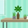 집 안 공기를 쾌적하게, 실내 공기 정화 식물은?