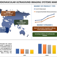 우수성 탐색: 심혈관 초음파 영상 시스템 시장의 역학 공개