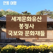 안동 여행 가볼만한곳 세계문화유산 봉정사