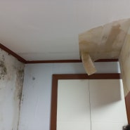 아파트, 빌라, 상가에서 발생한 천장누수와 관련된 안방, 베란다, 화장실, 거실, 부엌의 책임과 누수공사비용