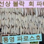 유튜브 오여사의 통영파로스호 볼락회 파티~ 조행기