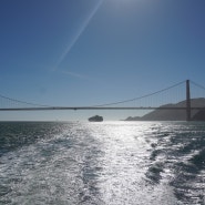 10일간의 샌프란시스코 여행(2) - 케이블카 타고 유니언 스퀘어 그리고 베이 크루즈로 금문교까지...