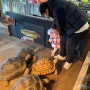 김포 수산공원 몬스터리움 동물먹이주기 체험