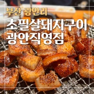 [부산/광안리] 광안리 돼지껍데기 맛집! (웨이팅,주차 팁) :: 초필살돼지구이 광안직영점