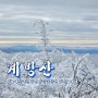 운두령 눈꽃산행 계방산 등산코스 오대산 국립공원 여행