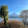 [가와구치코] 후지산 투어 ➁ 오시노 핫카이/후지산 로손/단풍회랑/후지산 보이는 공원 (kkday)
