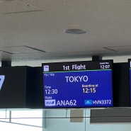 삿포로에서 도쿄 가는법 ANA항공 후기