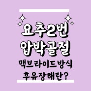 요추2번 압박골절 합의금 맥브라이드 방식 후유장해 알아보기